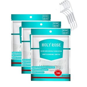 travel dental floss picks,refill bagged floss sticks,holy rose high toughness adults flosser toothpick,300 count professional clean flossers for teeth hygiene, oral care and health.