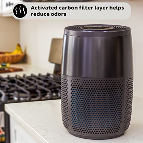 Instant HEPA Quiet Air Purifier, From the Makers of Instant Pot with Plasma Ion Technology for Rooms up to 630ft2, removes 99% of Dust, Smoke, Odors, Pollen & Pet Hair, for Bedrooms, Offices, Charcoal