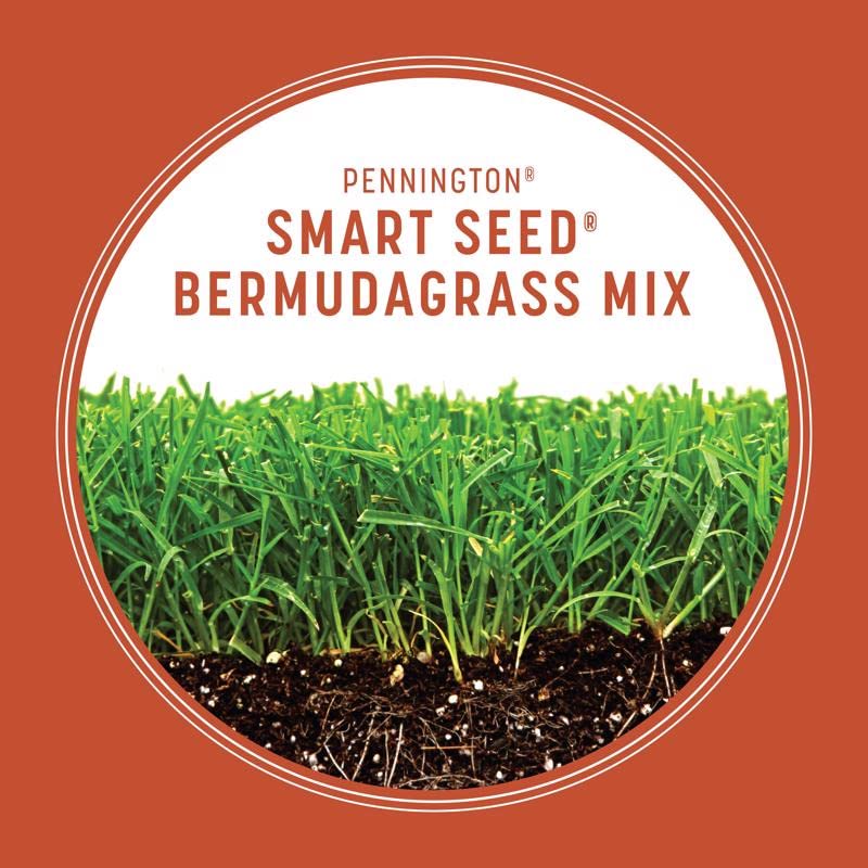 8.75LB Bermuda Seed
