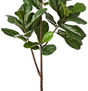 Amazon Brand - Stone & Beam Artificial Fiddle Leaf Fig Tree with Plastic Nursery Pot, 4.3 Feet (51 Inches) / Medium, Indoor