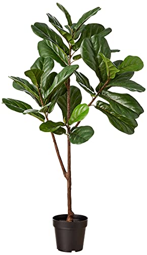 Amazon Brand - Stone & Beam Artificial Fiddle Leaf Fig Tree with Plastic Nursery Pot, 4.3 Feet (51 Inches) / Medium, Indoor