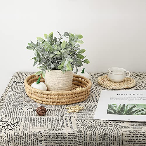 Hopewood Faux Plants, Small Fake Plant for Bathroom, Decorative Artificial Plants for Farmhouse Desk Shelf Decor with A Weave Basket (9.8inch)