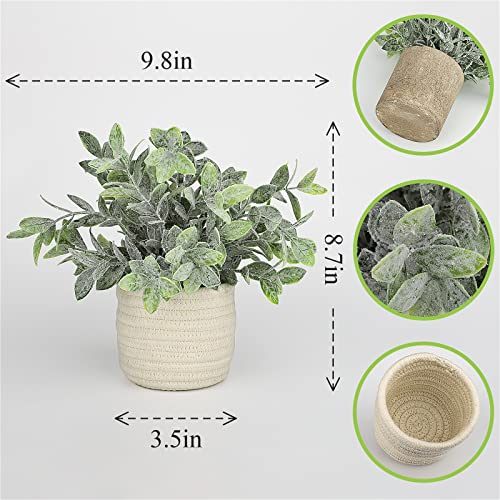 Hopewood Faux Plants, Small Fake Plant for Bathroom, Decorative Artificial Plants for Farmhouse Desk Shelf Decor with A Weave Basket (9.8inch)