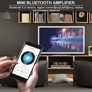 MakerHawk Mini Amplifier Board Bluetooth Amplifier 2.0 2X50W 5V-24V Audio Power Amplifier Module for Store Home Theater Speakers