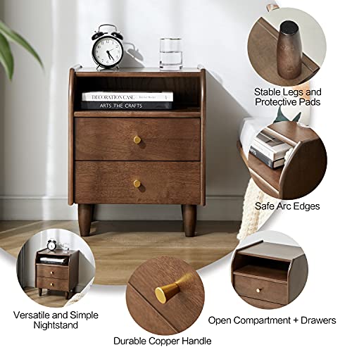 ESPSENT Modern 2-Drawer Nightstand Solid Wood Sofa Side End Table with Storage Compartment and Legs (Dark Walnut)