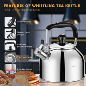 Tea Kettle Stovetop Whistling Teapot Stainless Steel Tea Pots for All Stovetop With Ergonomic Handle - 3 Quart Whistling Teapot