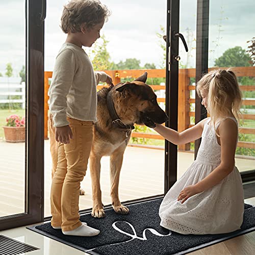 BeneathYourFeet Door Mat (30"x17.5",Black), Durable Welcome Mat Low Profile Floor Mat Front Doormat Indoor Outdoor Door Rug Non Slip Rugs for Entryway, Patio, High Traffic Areas