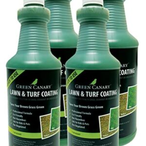 Green Canary Pre-Mixed Grass Colorant - 4 Liter Bottles (More Than 1 Gallon), High Purity, Environmentally Safe, Natural Looking Turf, Green Grass Paint, Ready to Apply Grass Colorant, Made in USA