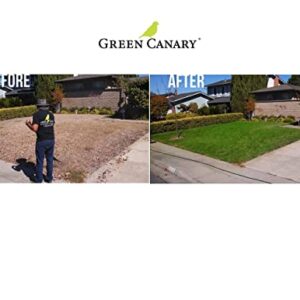 Green Canary Pre-Mixed Grass Colorant - 4 Liter Bottles (More Than 1 Gallon), High Purity, Environmentally Safe, Natural Looking Turf, Green Grass Paint, Ready to Apply Grass Colorant, Made in USA