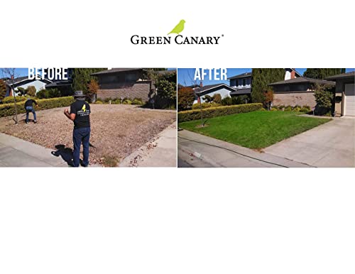 Green Canary Pre-Mixed Grass Colorant - 4 Liter Bottles (More Than 1 Gallon), High Purity, Environmentally Safe, Natural Looking Turf, Green Grass Paint, Ready to Apply Grass Colorant, Made in USA