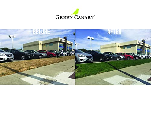 Green Canary Pre-Mixed Grass Colorant - 4 Liter Bottles (More Than 1 Gallon), High Purity, Environmentally Safe, Natural Looking Turf, Green Grass Paint, Ready to Apply Grass Colorant, Made in USA