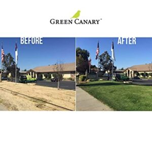 Green Canary Pre-Mixed Grass Colorant - 4 Liter Bottles (More Than 1 Gallon), High Purity, Environmentally Safe, Natural Looking Turf, Green Grass Paint, Ready to Apply Grass Colorant, Made in USA