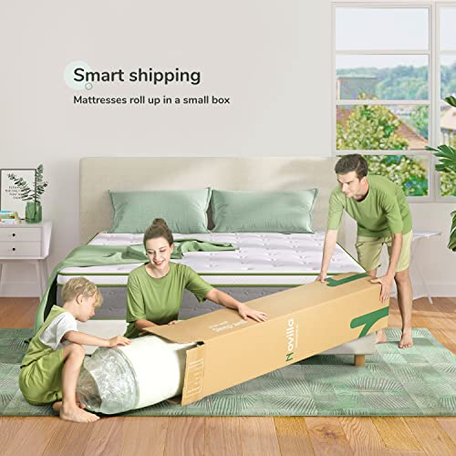 Novilla Twin Mattress, 10 Inch Hybrid Pillow Top Twin Size Mattress in a Box with Gel Memory Foam & Individually Wrapped Pocket Coils Innerspring for a Cool & Peaceful Sleep