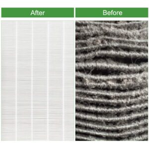 VIEWALL 116130 Replacement Filter H Replacement Compatible with Winix 5500-2 Air Purifier and Models AM80, HEPA Filters + Activated Carbon Filter Combo Pack