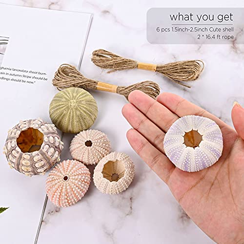 6PCS Hanging Air Plants Holders/Stand Mini Sea Urchin Shell Decorative Tillandsiat Succulent Air Plant Display Container for Home Office Wall Garden Beach Hawaii Theme Party Favors