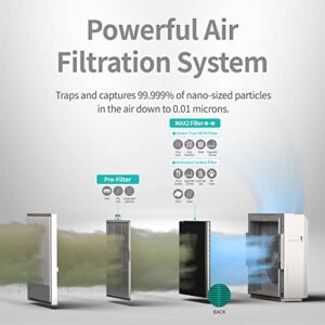 Coway Airmega 250/250S Air Purifier Replacement Filter Set, Max 2 Green True HEPA and Active Carbon Filter, AP-1720-FP