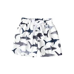 baby swim trunks, toddler infant swimsuit shark bathing suit beach swimming shorts (shark, 0-6 months)