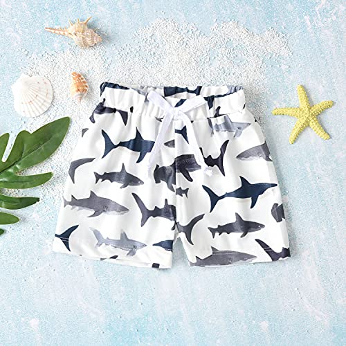 Baby Swim Trunks, Toddler Infant Swimsuit Shark Bathing Suit Beach Swimming Shorts (Shark, 0-6 Months)