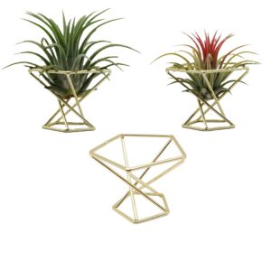 Nwsrayu Geometric Air Plant Holder Airplants Rack Metal Plants Stand Planter Shelves Himmeli Living Decor Tillandsia Pot Containers (Gold 3pcs)