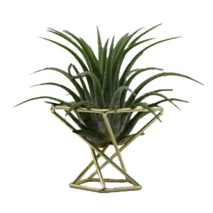 Nwsrayu Geometric Air Plant Holder Airplants Rack Metal Plants Stand Planter Shelves Himmeli Living Decor Tillandsia Pot Containers (Gold 3pcs)