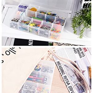 iBune 15 Grids Large Plastic Compartment Container for Washi Tape, Bead Storage Organizer Box Case with Removable Dividers for Jewelry Craft Tackles Tools, Size 11 x 7 x 2.3 in, White¡­