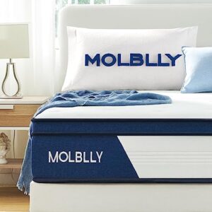 molblly queen mattress, 10 inch hybrid mattress with gel memory foam,motion isolation individually wrapped pocket coils mattress,pressure relief,back pain relief& cooling queen size bed mattress