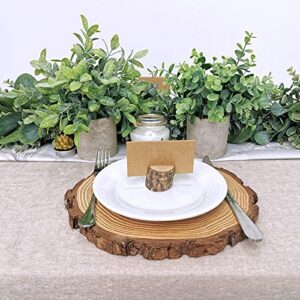 Winlyn Set of 2 Faux Mini Potted Plants Artificial Eucalyptus Boxwood Plants in Pots Fake Greenery Arrangement for Rustic Farmhouse Indoor Table Centerpiece Mantel Shelf Kitchen Office Desk Decor