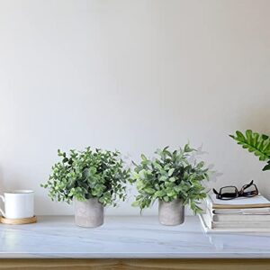 Winlyn Set of 2 Faux Mini Potted Plants Artificial Eucalyptus Boxwood Plants in Pots Fake Greenery Arrangement for Rustic Farmhouse Indoor Table Centerpiece Mantel Shelf Kitchen Office Desk Decor