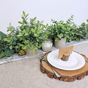 Winlyn Set of 2 Faux Mini Potted Plants Artificial Eucalyptus Boxwood Plants in Pots Fake Greenery Arrangement for Rustic Farmhouse Indoor Table Centerpiece Mantel Shelf Kitchen Office Desk Decor