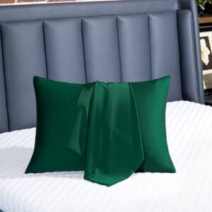 BEIJOEY 100% Mulberry Silk Pillowcase 2 Pack for Hair and Skin,with Hidden Zipper,Both Sides 19 Momme 600 Thread Count Natural Silk Pillow Cover,Soft Breathable Smooth (Dark Green, Standard 20''x26'')