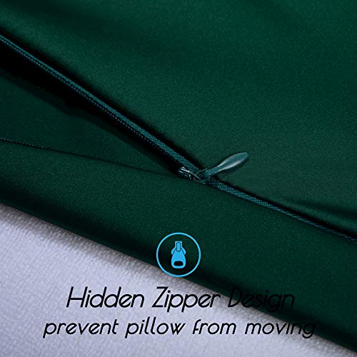 BEIJOEY 100% Mulberry Silk Pillowcase 2 Pack for Hair and Skin,with Hidden Zipper,Both Sides 19 Momme 600 Thread Count Natural Silk Pillow Cover,Soft Breathable Smooth (Dark Green, Standard 20''x26'')