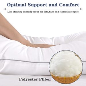 Bed Pillows for Sleeping 2 Pack - Standard Size Cooling Pillows Set of 2 for Side Back and Stomach Sleepers, Down Alternative Filling Luxury Soft Supportive Plush Pillows