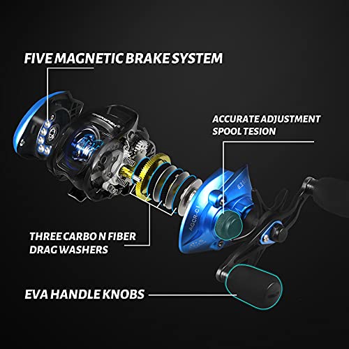 ANGRYFISH AGCR-C Baitcasting Reel,Compact Design Fishing Reel,6.3:1 Gear Ratio Super Smooth baitcaster with Magnetic Braking System,7 + 1 Ball Bearings Anti-Corrosion Baitcaster Reel(Left Handed)