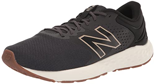 New Balance Men's 520 V7 Running Shoe, Phantom/White, 12