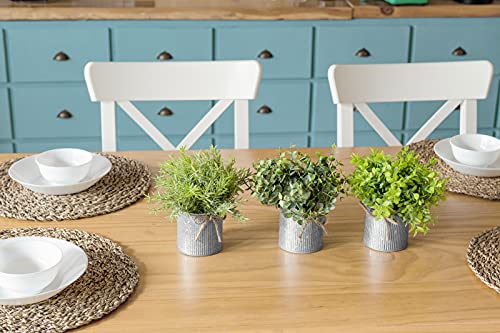 Mkono Mini Fake Plants in Farmhouse Galvanized Metal Pots Table Centerpiece Rustic Home Decor, 3 Pack Lightweight Potted Artificial Plants Faux Eucalyptus for Indoor Shelf Dining Room Office Decor