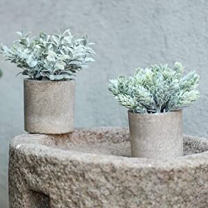 Der Rose 6pcs Mini Potted Fake Plants Small Artificial Plants for Home Farmhouse Bathroom Desk Office Decor