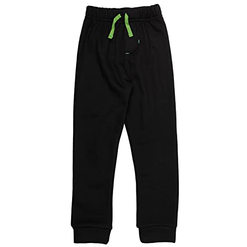 Minecraft Creeper Little Boys Fleece Raglan Hoodie & Pants Set Green/Black 4