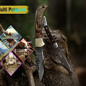 BCK Pocket Knife 4 Pcs Set 6.5" Handmade Damascus Folding Knife Back lock knife Damascus Hunting Knife with Sheath Damascus Pocket Knife for men 100% Prime Quality camping Knife (Brown Wood)