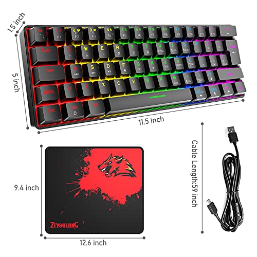 60% True Mechanical Gaming Keyboard Ultra-compact with 20 Rainbow Backlit Type C Wired Programmable 62 Keys Tactile Blue Switch Waterproof Non-Conflict and Gaming Mouse Pad  for PC/Laptop/PS5（Black)