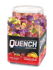 quench gum tub, new variety fruit 300,300 count (pack of 1)