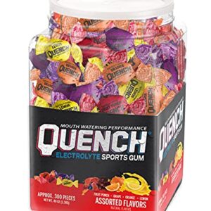 Quench Gum Tub, New Variety Fruit 300,300 Count (Pack of 1)