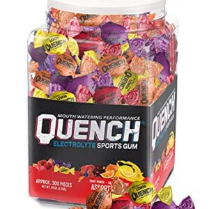 Quench Gum Tub, New Variety Fruit 300,300 Count (Pack of 1)