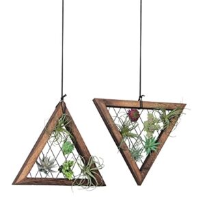 j jackcube design air plant triangle frame hanging airplant holder, rustic wood tillandsia, succulent plants display hanger shelf for wall décor, set of 2- mk1061a