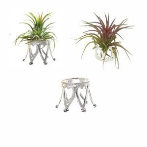 newwe pack of 3 silver air plant holder cute crystal tillandsia display container home decors office desktop marble egg sphere stand