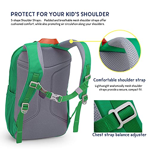 MOUNTAINTOP Kids Backpack for Boys Girls Elementary Kindergarten School Bag Lightweight Children Daypack Green