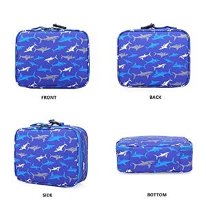 NICE CHOICE Preschool Backpack Kindergarten Elementary School Little Kid Toddler Backpacks With Lunch Bag Pencil Case Set for Boys and Girls with Chest Strap (Blue Shark)