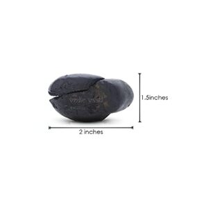 Vedic Vaani Natural Salagram Saligramam Stone Matsya Avatar Shaligram Shila Black (One Piece)