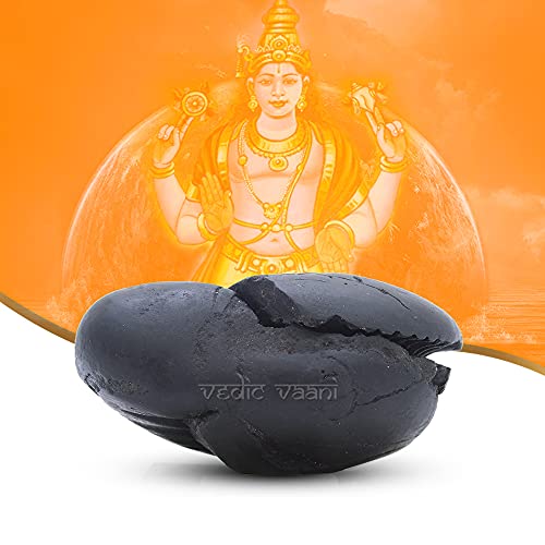 Vedic Vaani Natural Salagram Saligramam Stone Matsya Avatar Shaligram Shila Black (One Piece)