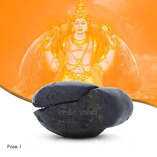 Vedic Vaani Natural Salagram Saligramam Stone Matsya Avatar Shaligram Shila Black (One Piece)