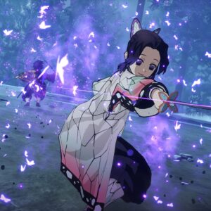 Demon Slayer: The Hinokami Chronicles - PlayStation 4